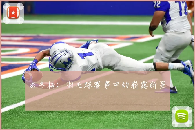 龙冬梅：羽毛球赛事中的崭露新星