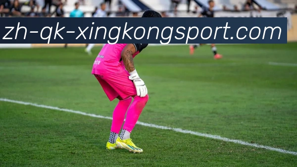 星空体育APP 高清赛事图