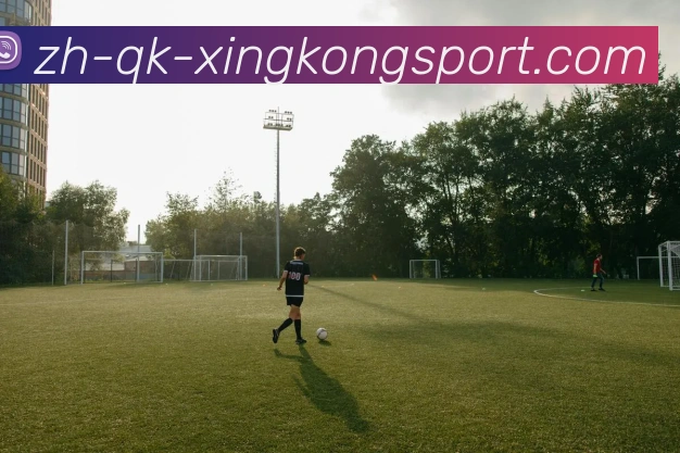 数据防护可视化